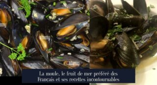 La moule, le fruit de mer préféré des Français et ses recettes incontournables