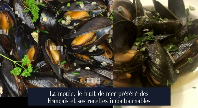La moule, le fruit de mer préféré des Français et ses recettes incontournables