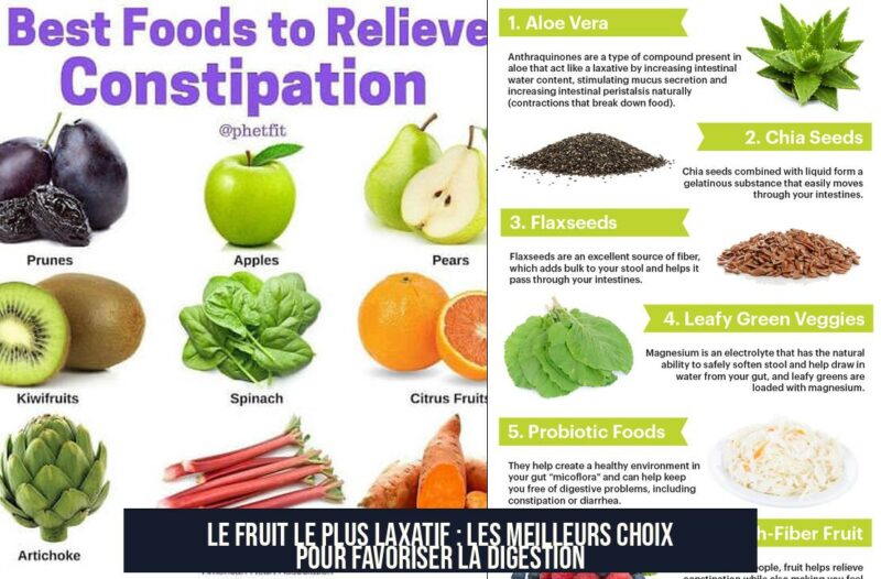 Le fruit le plus laxatif : Les meilleurs choix pour favoriser la digestion