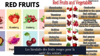 Les bienfaits des fruits rouges pour la santé des seniors