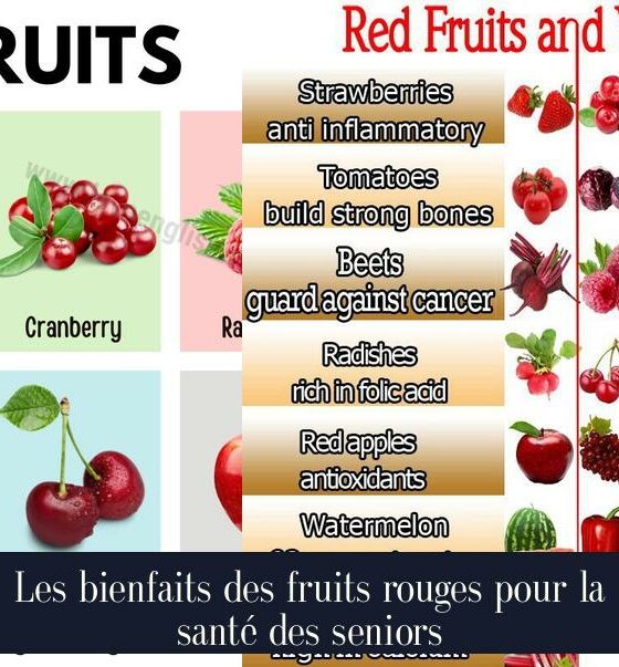 Les bienfaits des fruits rouges pour la santé des seniors
