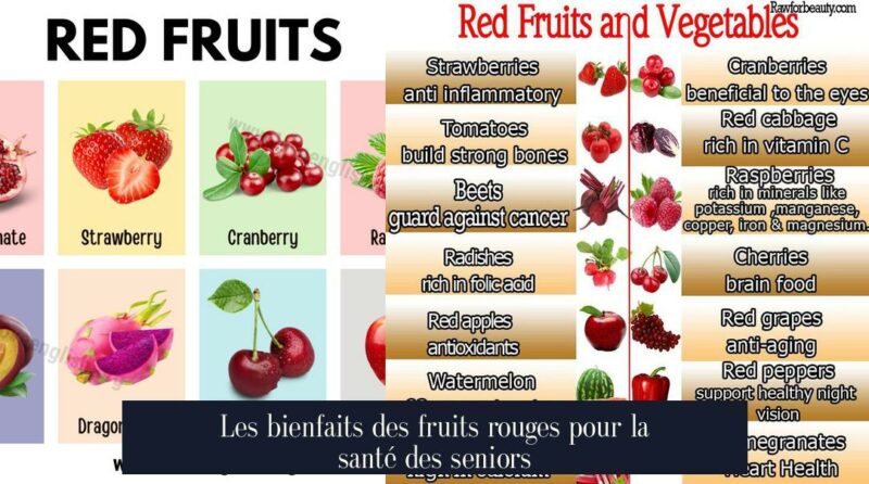 Les bienfaits des fruits rouges pour la santé des seniors