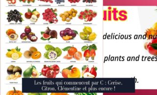 Les fruits qui commencent par C : Cerise, Citron, Clémentine et plus encore !