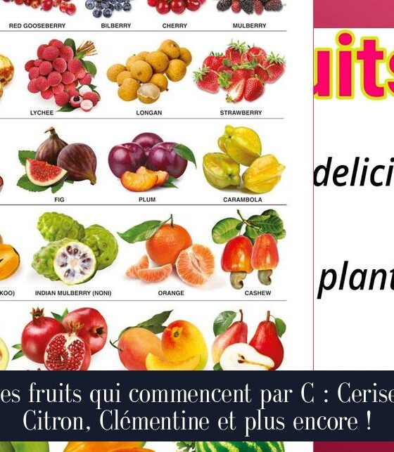 Les fruits qui commencent par C : Cerise, Citron, Clémentine et plus encore !