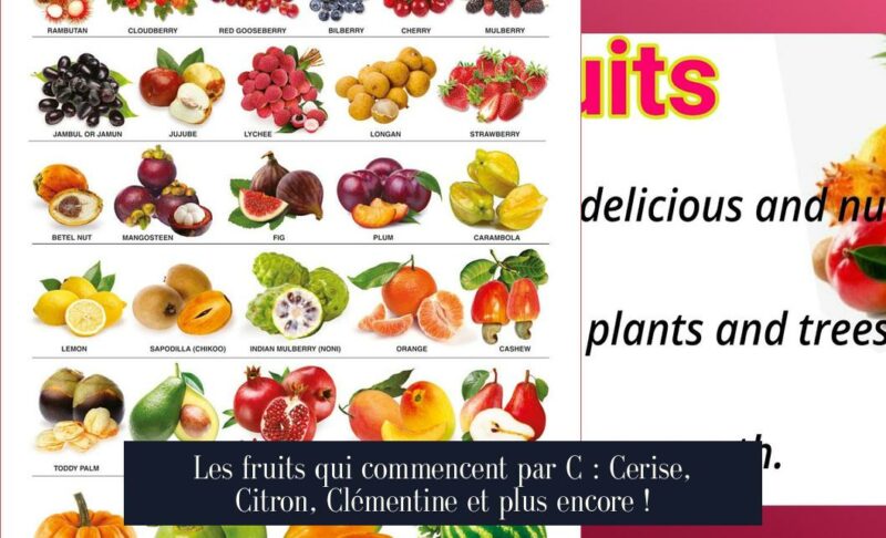 Les fruits qui commencent par C : Cerise, Citron, Clémentine et plus encore !