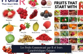 Les Fruits Commencant par R et leurs Caractéristiques Uniques