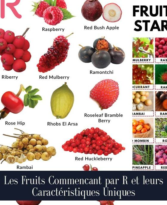 Les Fruits Commencant par R et leurs Caractéristiques Uniques