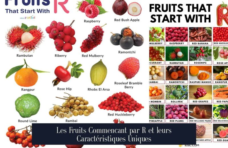 Les Fruits Commencant par R et leurs Caractéristiques Uniques