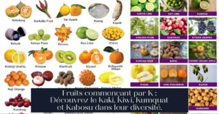 Fruits commençant par K : Découvrez le Kaki, Kiwi, Kumquat et Kabosu dans leur diversité.