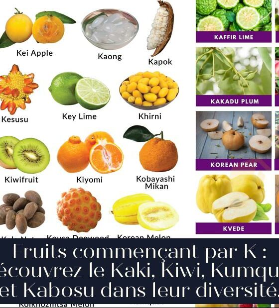 Fruits commençant par K : Découvrez le Kaki, Kiwi, Kumquat et Kabosu dans leur diversité.
