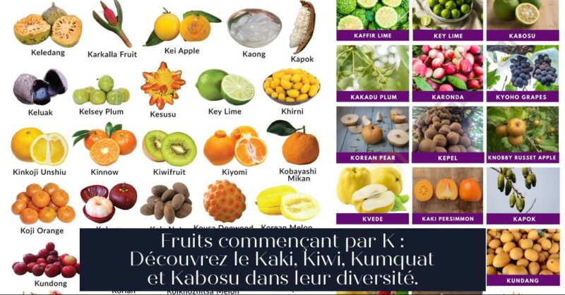 Fruits commençant par K : Découvrez le Kaki, Kiwi, Kumquat et Kabosu dans leur diversité.