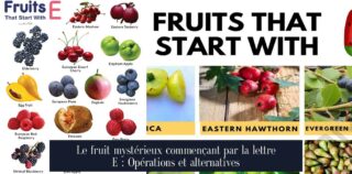 Le fruit mystérieux commençant par la lettre E : Opérations et alternatives