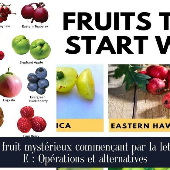 Le fruit mystérieux commençant par la lettre E : Opérations et alternatives