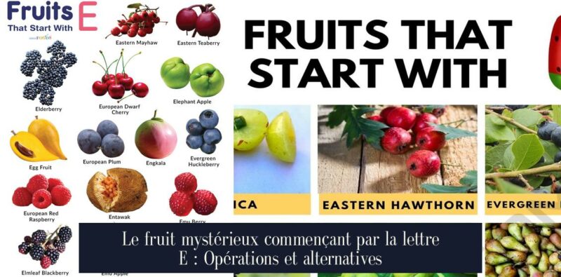 Le fruit mystérieux commençant par la lettre E : Opérations et alternatives