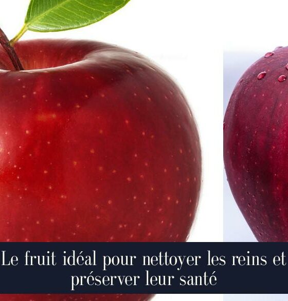 Le fruit idéal pour nettoyer les reins et préserver leur santé