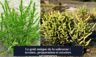 Le goût unique de la salicorne : texture, préparation et recettes savoureuses