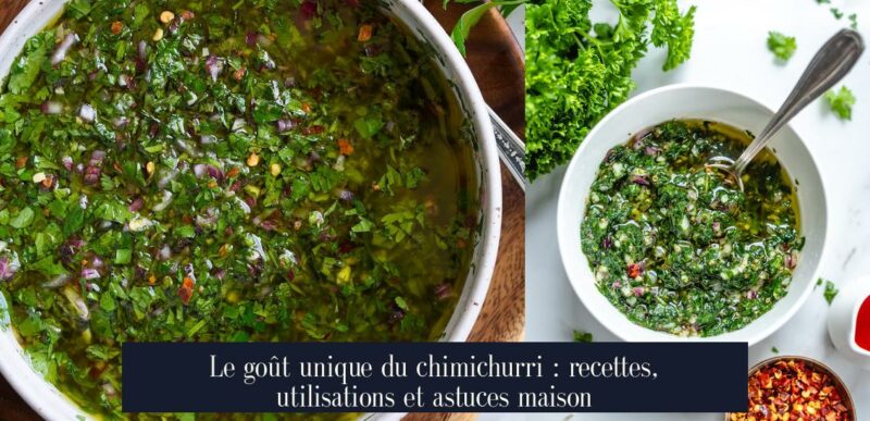 Le goût unique du chimichurri : recettes, utilisations et astuces maison