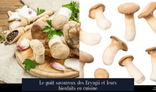 Le goût savoureux des Eryngii et leurs bienfaits en cuisine