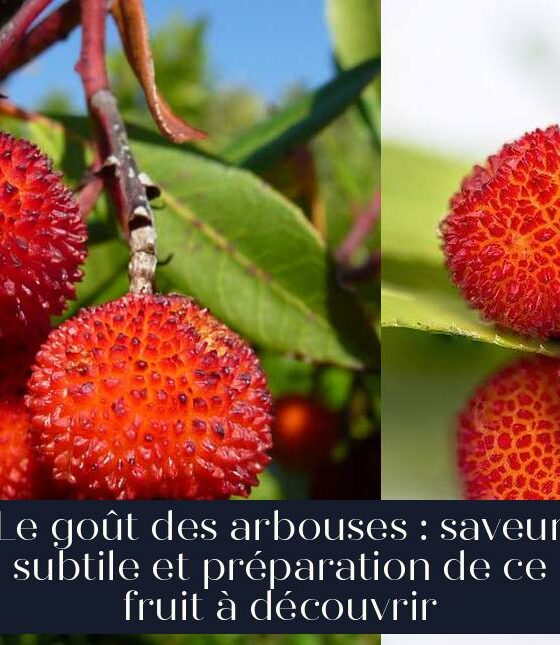 Le goût des arbouses : saveur subtile et préparation de ce fruit à découvrir