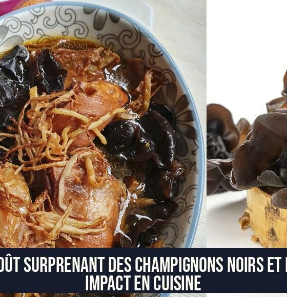 Le goût surprenant des champignons noirs et leur impact en cuisine