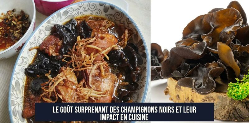 Le goût surprenant des champignons noirs et leur impact en cuisine