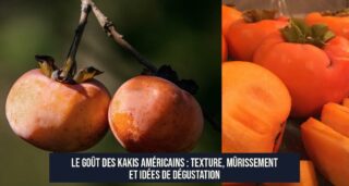 Le goût des kakis américains : texture, mûrissement et idées de dégustation