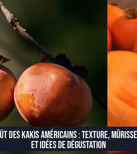 Le goût des kakis américains : texture, mûrissement et idées de dégustation