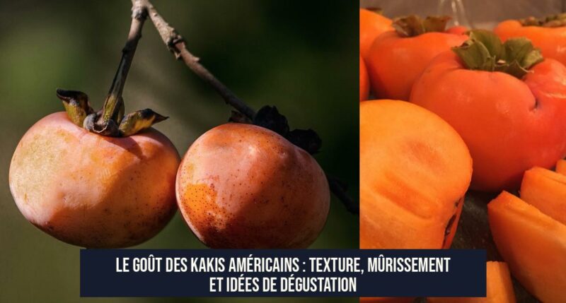 Le goût des kakis américains : texture, mûrissement et idées de dégustation