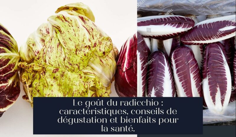 Le goût du radicchio : caractéristiques, conseils de dégustation et bienfaits pour la santé.
