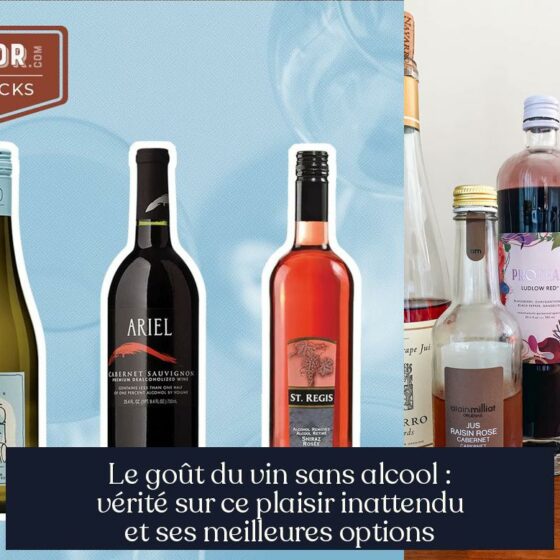 Le goût du vin sans alcool : vérité sur ce plaisir inattendu et ses meilleures options