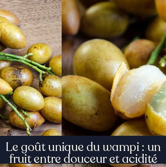 Le goût unique du wampi : un fruit entre douceur et acidité