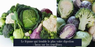 Le légume qui trouble le plus votre digestion : focus sur les crucifères