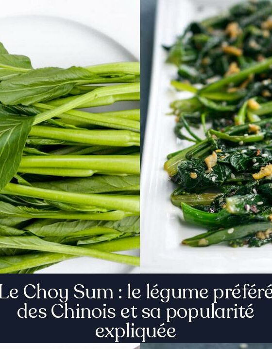 Le Choy Sum : le légume préféré des Chinois et sa popularité expliquée