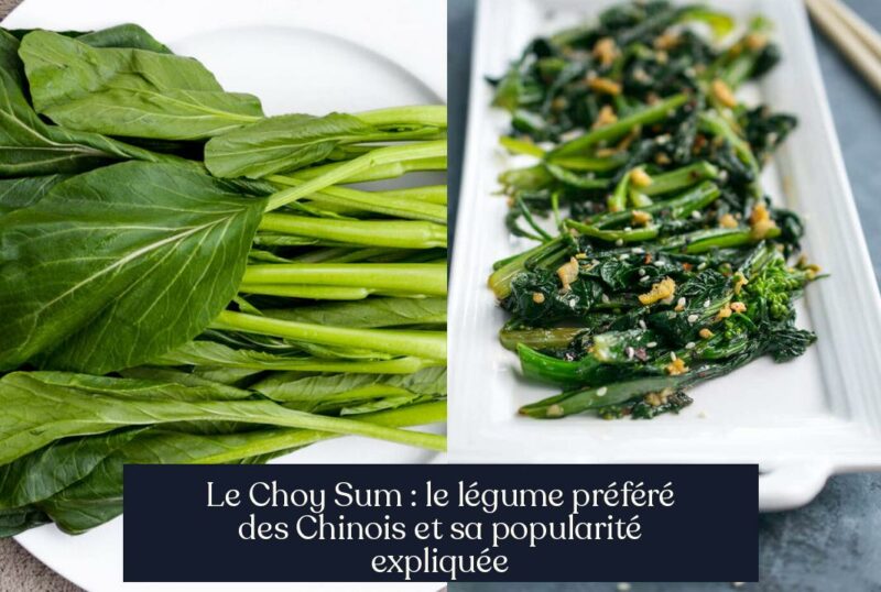 Le Choy Sum : le légume préféré des Chinois et sa popularité expliquée