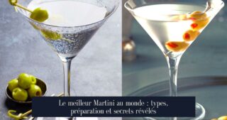 Le meilleur Martini au monde : types, préparation et secrets révélés