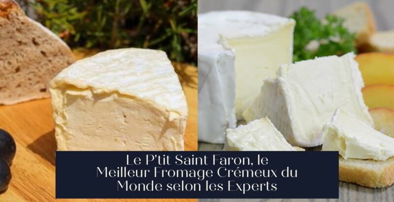 Le P'tit Saint Faron, le Meilleur Fromage Crémeux du Monde selon les Experts