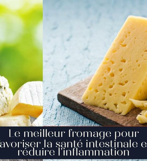 Le meilleur fromage pour favoriser la santé intestinale et réduire l'inflammation