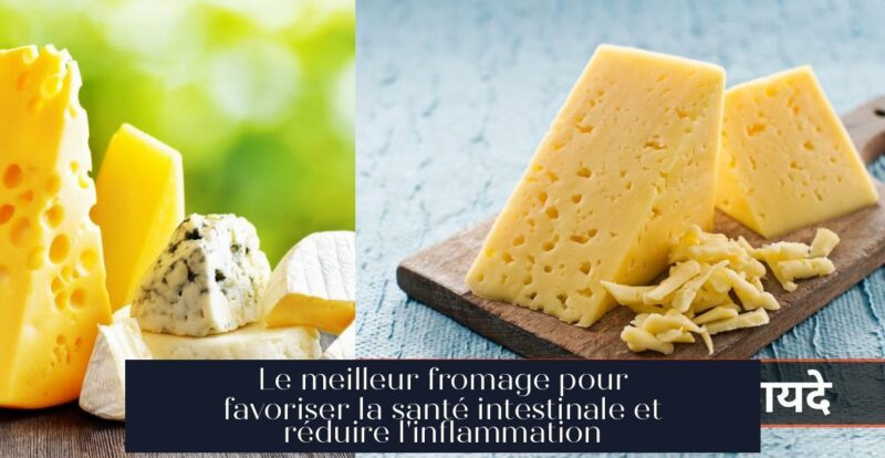 Le meilleur fromage pour favoriser la santé intestinale et réduire l'inflammation