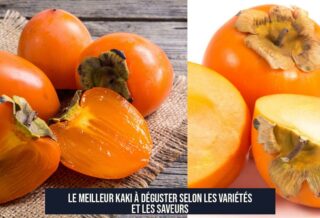 Le meilleur kaki à déguster selon les variétés et les saveurs