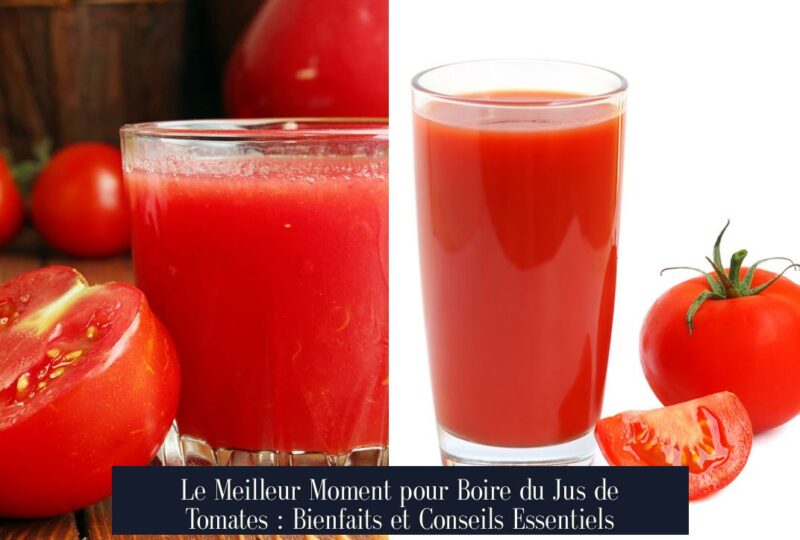 Le Meilleur Moment pour Boire du Jus de Tomates : Bienfaits et Conseils Essentiels