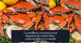 Le meilleur moment pour déguster le crabe bleu : saisonnalité et conseils culinaires