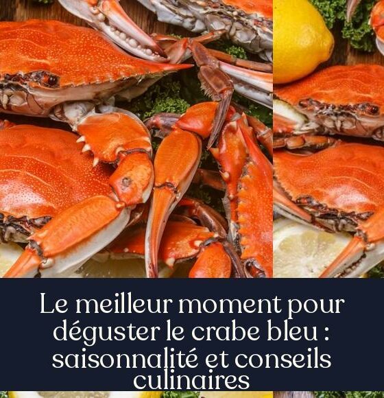 Le meilleur moment pour déguster le crabe bleu : saisonnalité et conseils culinaires