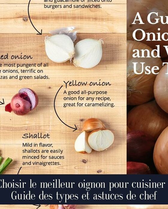 Choisir le meilleur oignon pour cuisiner : Guide des types et astuces de chef