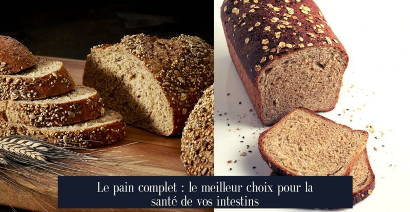 Le pain complet : le meilleur choix pour la santé de vos intestins