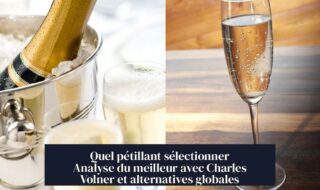 Quel pétillant sélectionner Analyse du meilleur avec Charles Volner et alternatives globales