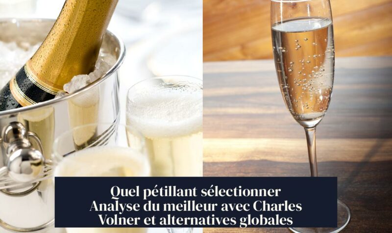 Quel pétillant sélectionner Analyse du meilleur avec Charles Volner et alternatives globales