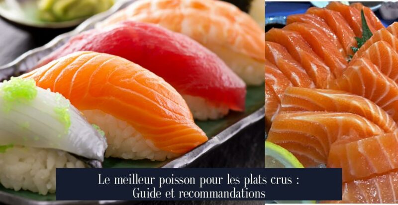Le meilleur poisson pour les plats crus : Guide et recommandations