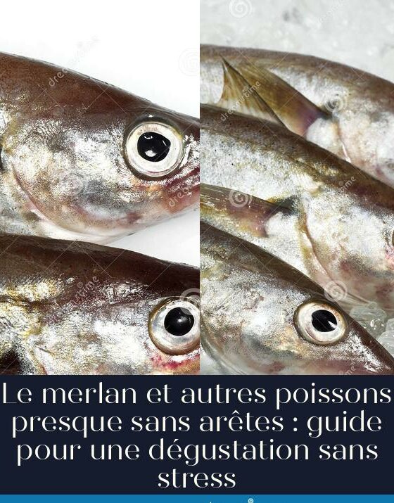 Le merlan et autres poissons presque sans arêtes : guide pour une dégustation sans stress