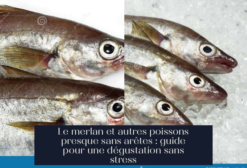 Le merlan et autres poissons presque sans arêtes : guide pour une dégustation sans stress