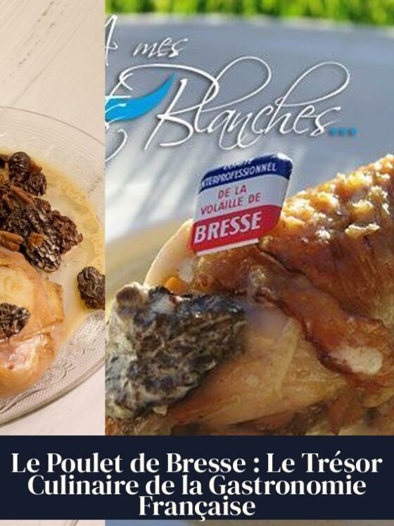 Le Poulet de Bresse : Le Trésor Culinaire de la Gastronomie Française
